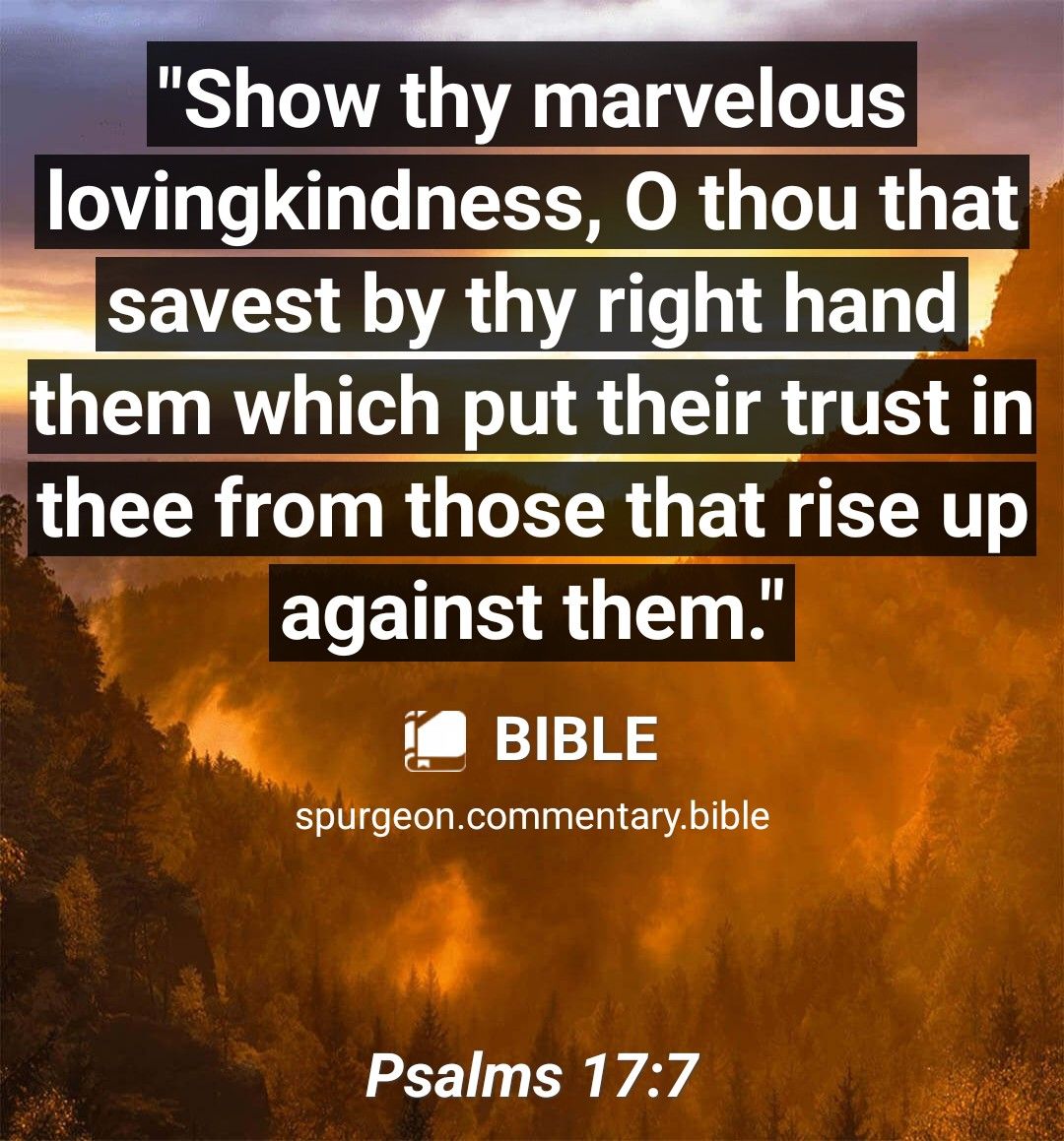 Show thy marvelous lovingkindness O thou that EEVES A UVAL hand fthem which put their trust in thee from those that rise up ELEIRE AL i BIBLE spurgeoncommentarybible Psalms 177