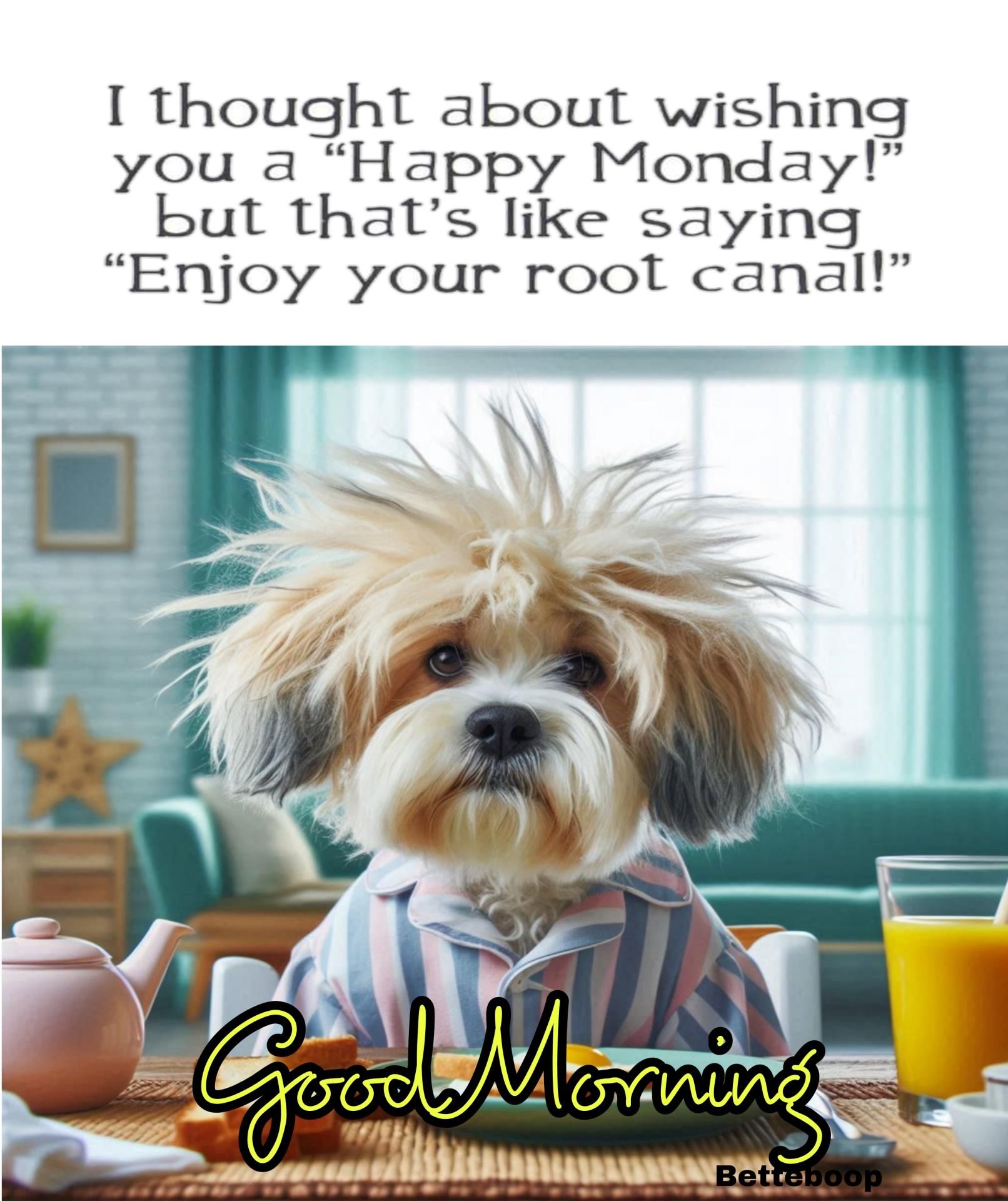 I thought about wishing you a Happy Monday but thats like saying Enjoy your root canal
