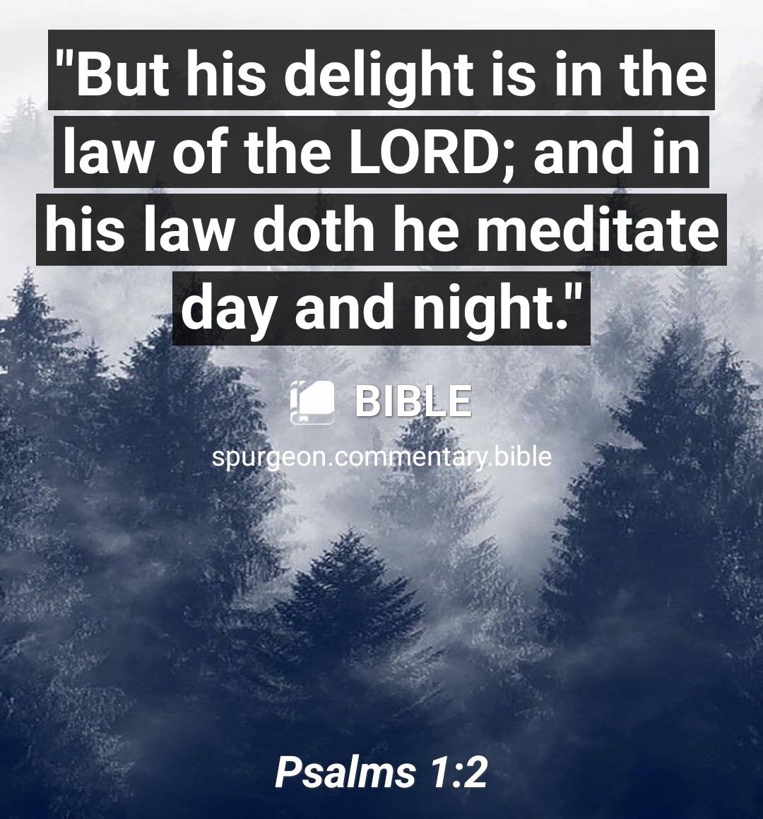 But his delight is in the law of the LORD and in his law doth he meditate day and night Psalms 12