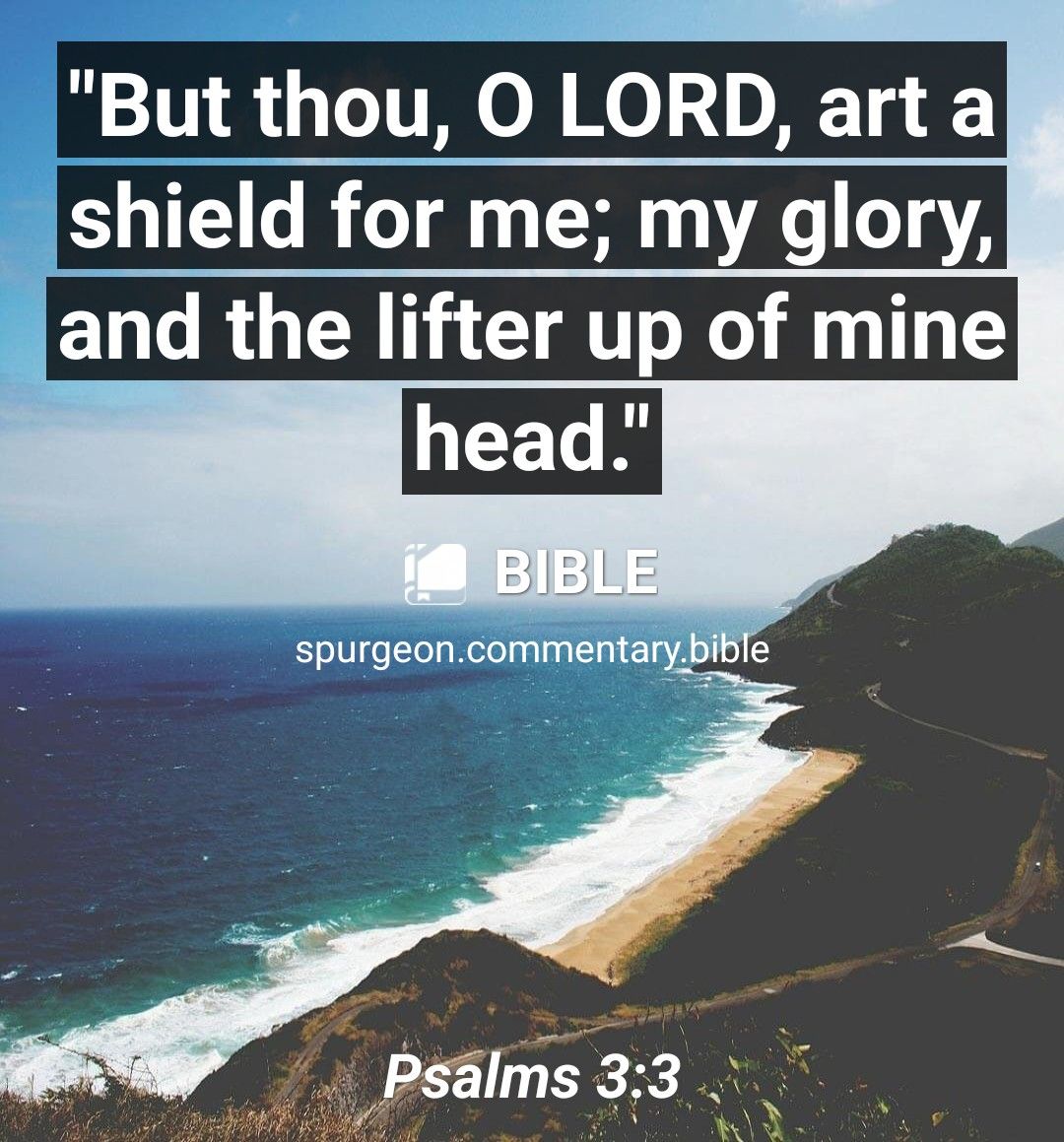 But thou O LORD art a shield for me my glory ELCRUCHNCIAT X T spurgeoncommentarybible