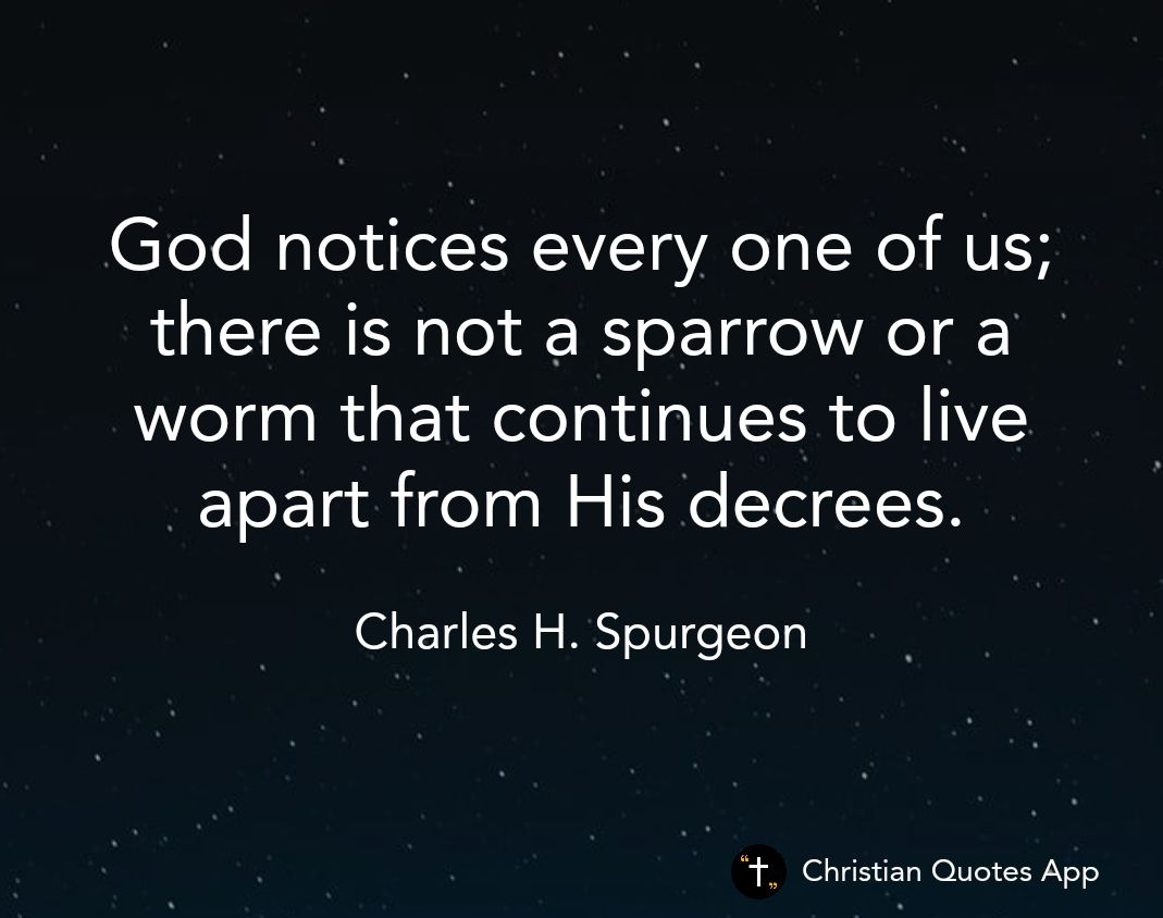 God notices every one of us there is not a sparrow or a worm that continues to live EToE gl ifelaal s ER6 T Y CR Charles H Spurgeon Christian Quotes App