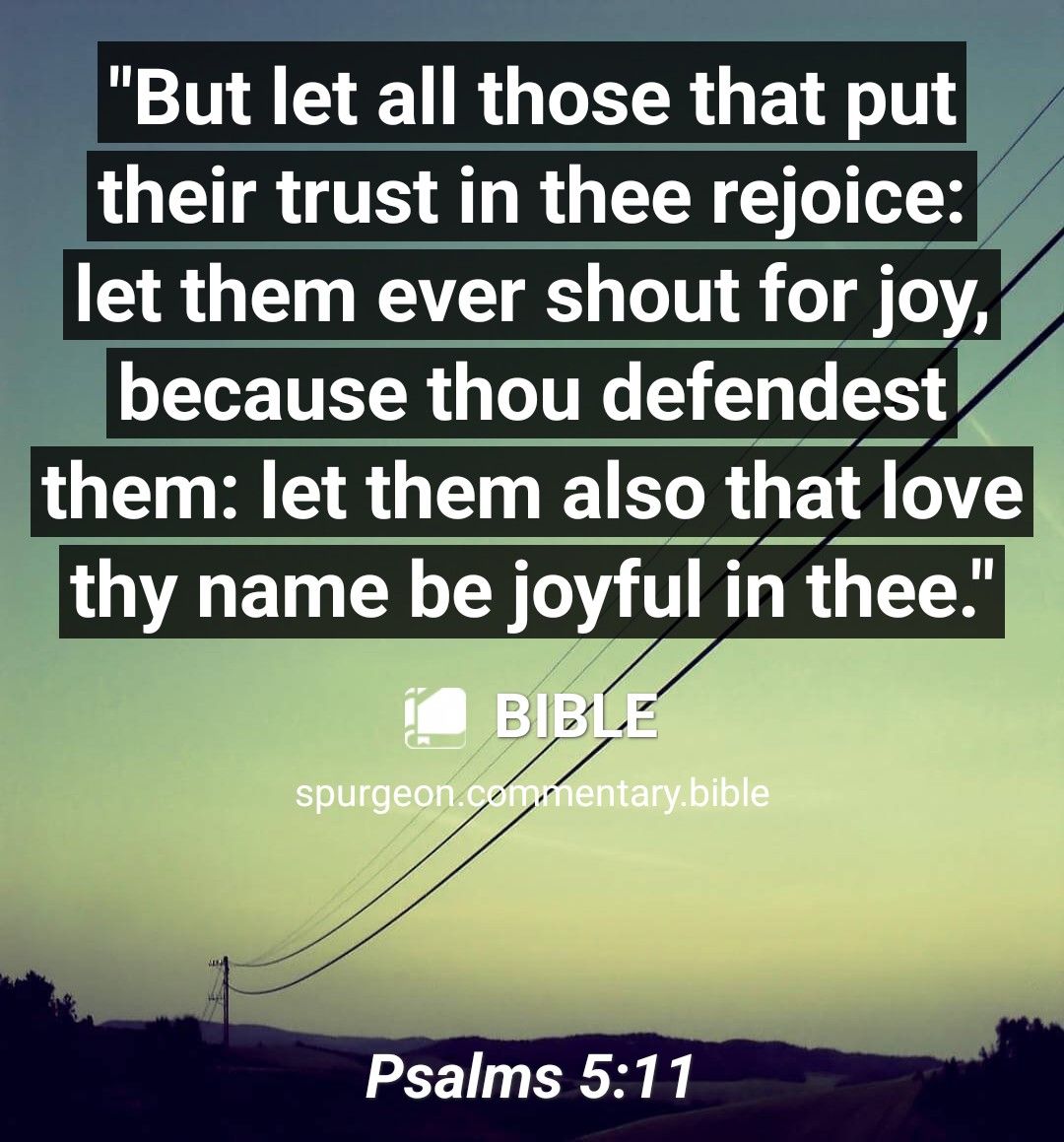 But let all those that putf their trust in thee rejoice