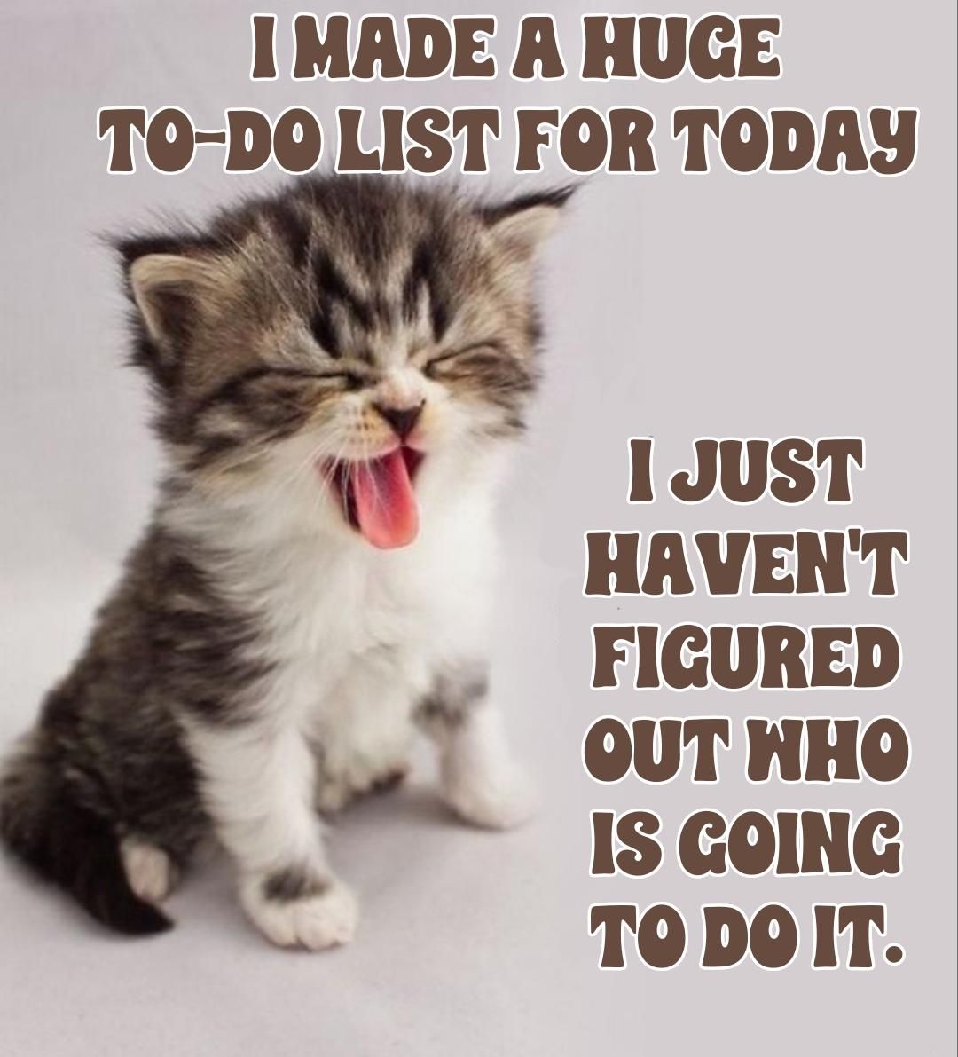 IMADE A HUGE 0 DO LIST FOR TODAY 1JUST HAVENT FIGURED OUT HHO IS GOING TODOIT
