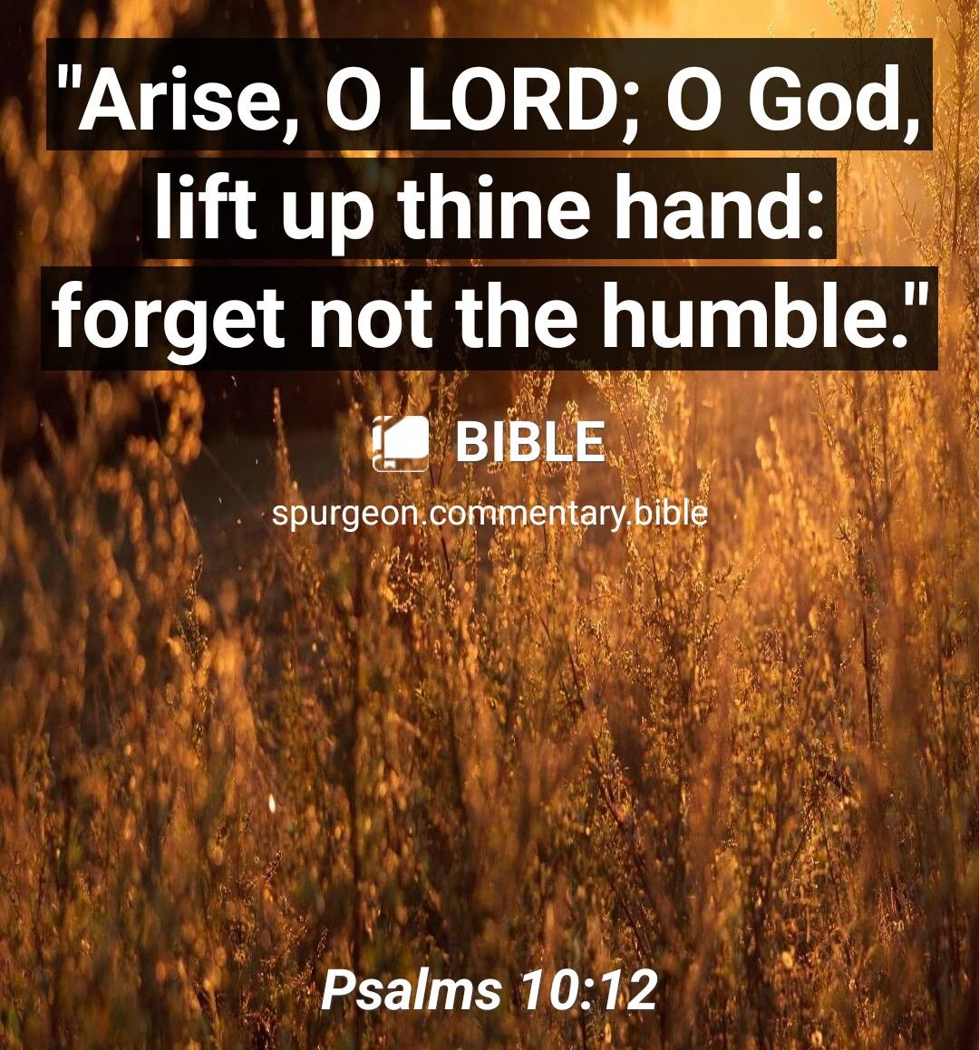 Arlse o LORD 0 God 5 lift up thine hand forget not the humble f R R Psalms 10 2