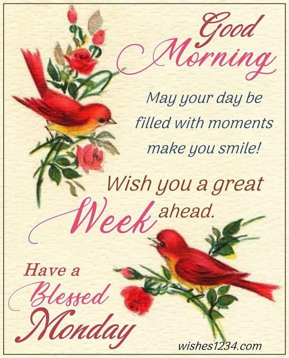 PMring May your day be filled with moments make you smile X Wishyou a great WMahead wishes1234com