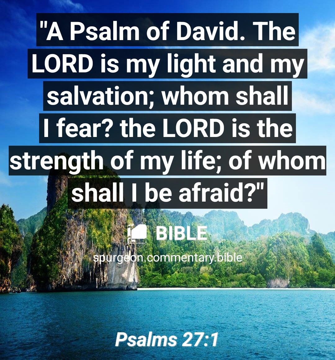 A Psalm of David The LORD is my light and my salvation whom shall fear the LORD is the strength of my life of whom shall I be afraid Psalms 271