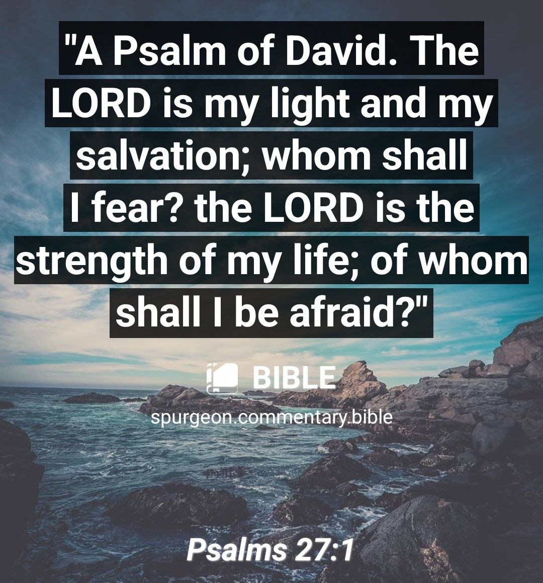 A Psalm of David The LORD is my light and my salvation whom shall fear the LORD is the strength of my y life of whom shall be afrai Psalms 271