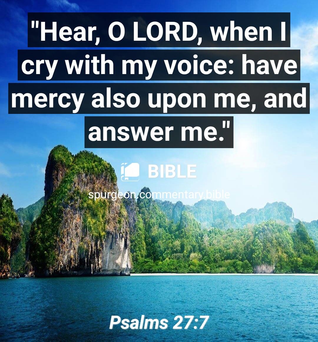 Hear O LORD when cry with my voice have mercy also upon me and answer me Psalms 277