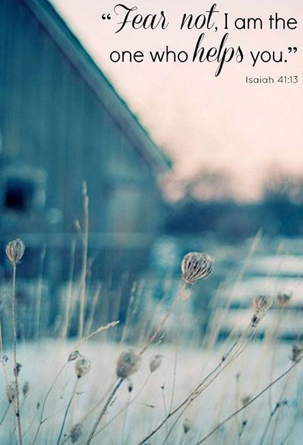 TJear nol1am the one who you Isaiah 4113