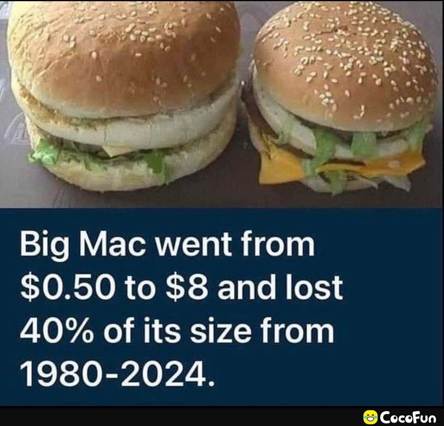 Big Mac went from 050 to 8 and lost 40 of its size from 1980 2024 CocefFun