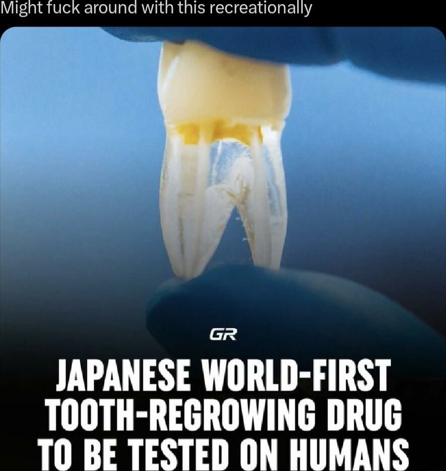 Mignht fuck around with this recreationally JAPANESE WORLD FIRST TOOTH REGROWING DRUG TO BE TESTED ON HUMANS