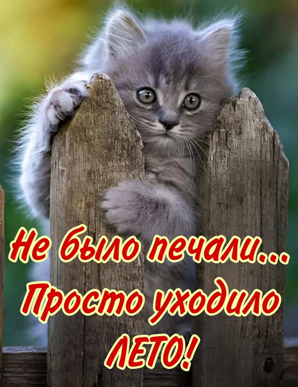 ы е7ее ЕО
