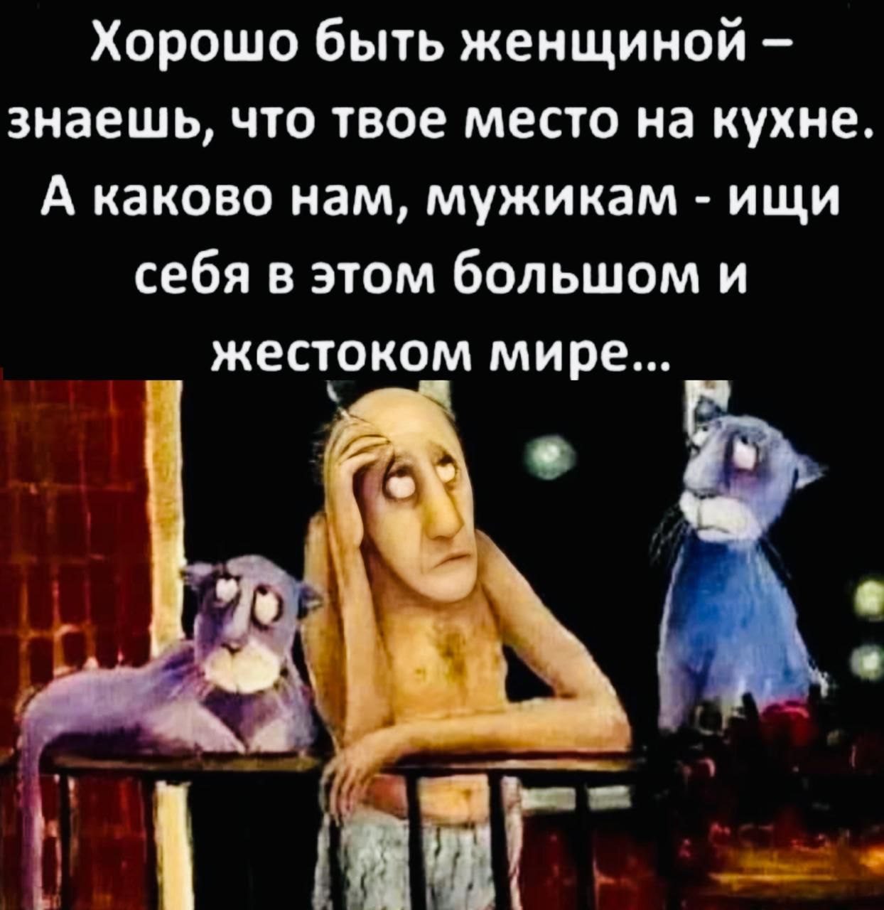 Хорошо быть женщиной знаешь что твое место на кухне А каково нам мужикам ищи себя в этом большом и жестоком мире