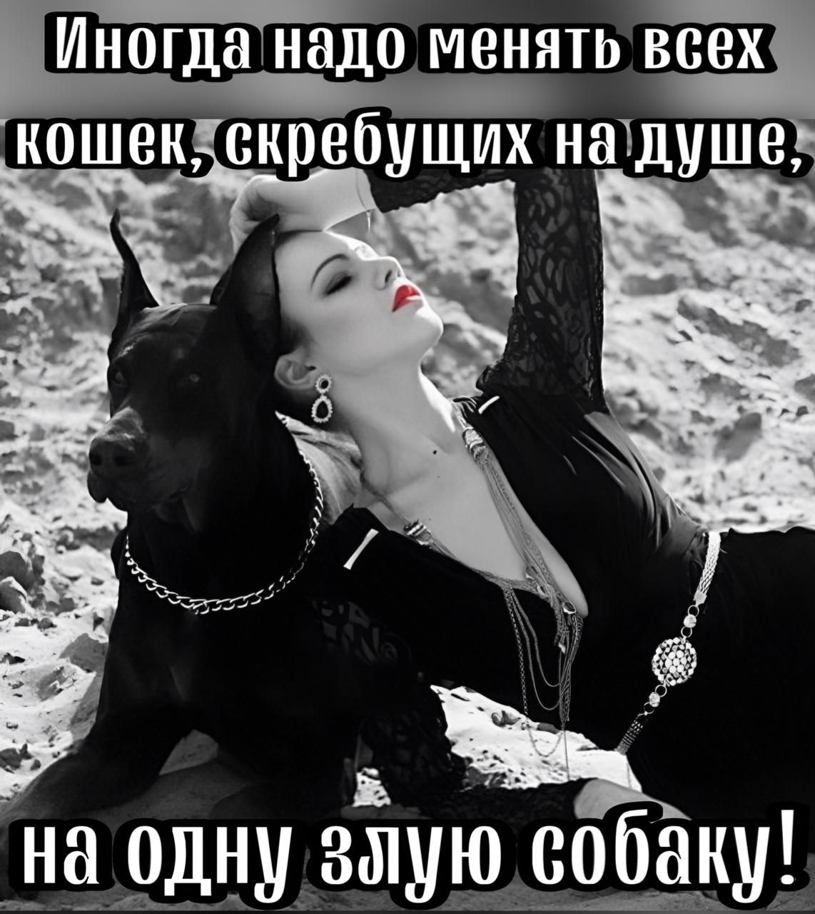 Иногданадо менять вех кошек скребущих надуше _ на одну злую собаку И 4