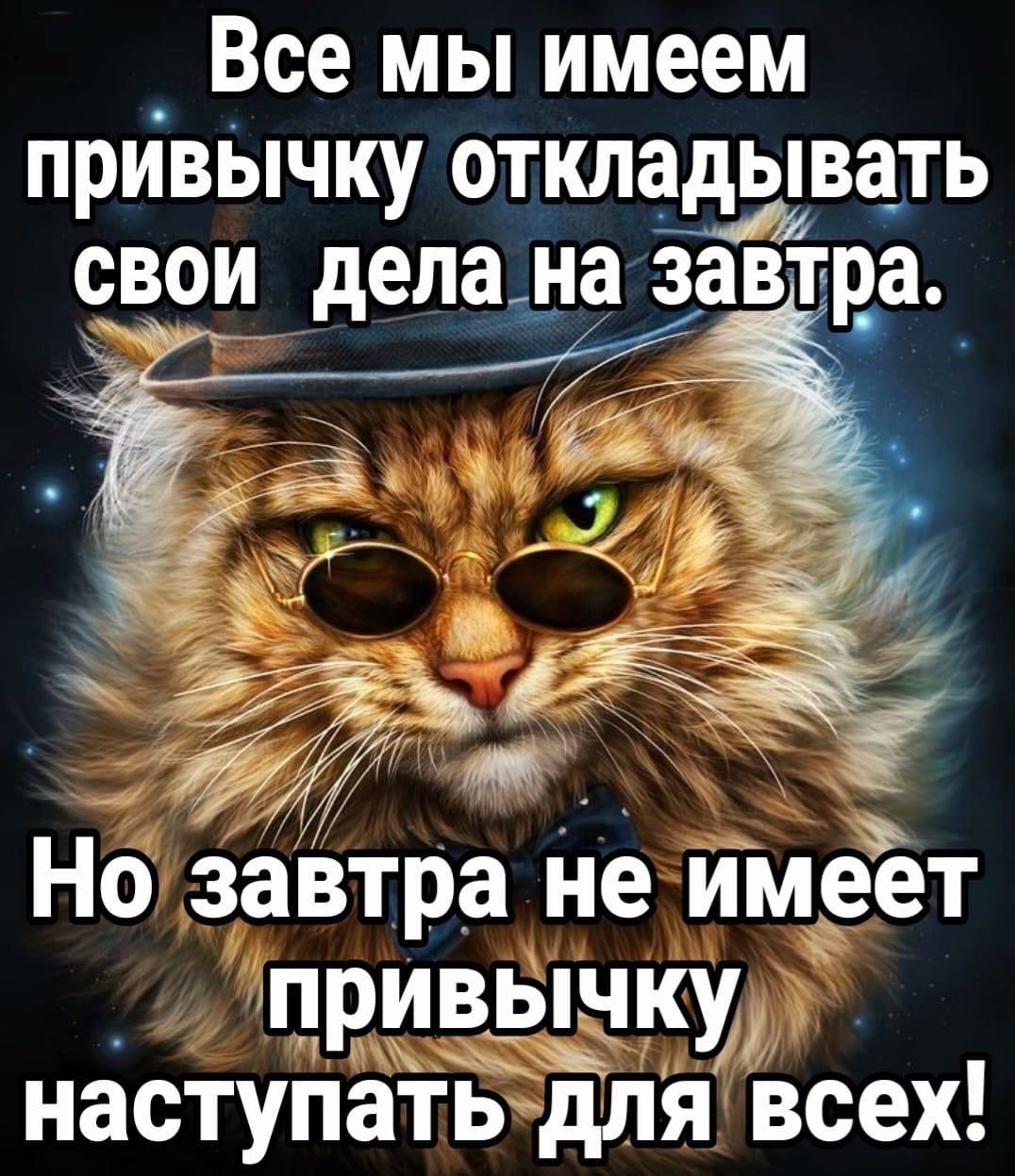 Все мы имеем привычку откладывать свои_дела на завтра Но завтра не имеет а привычку наступатьздля всех