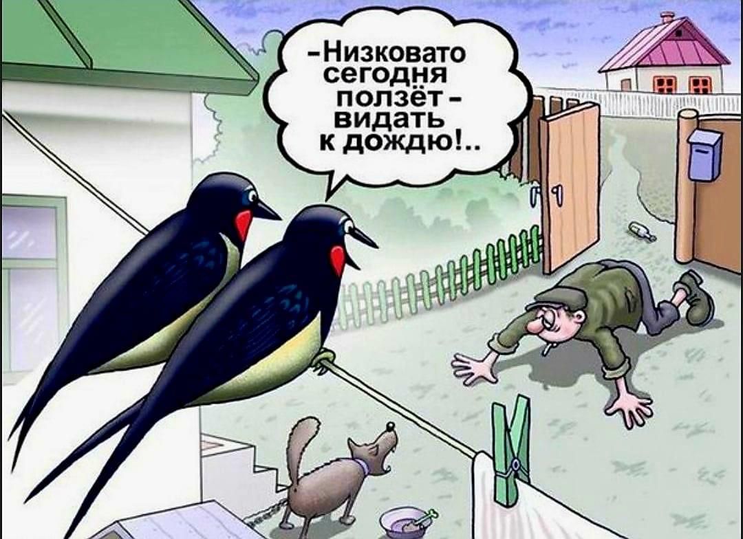 Низковато сегодня ползёт видать к дождю
