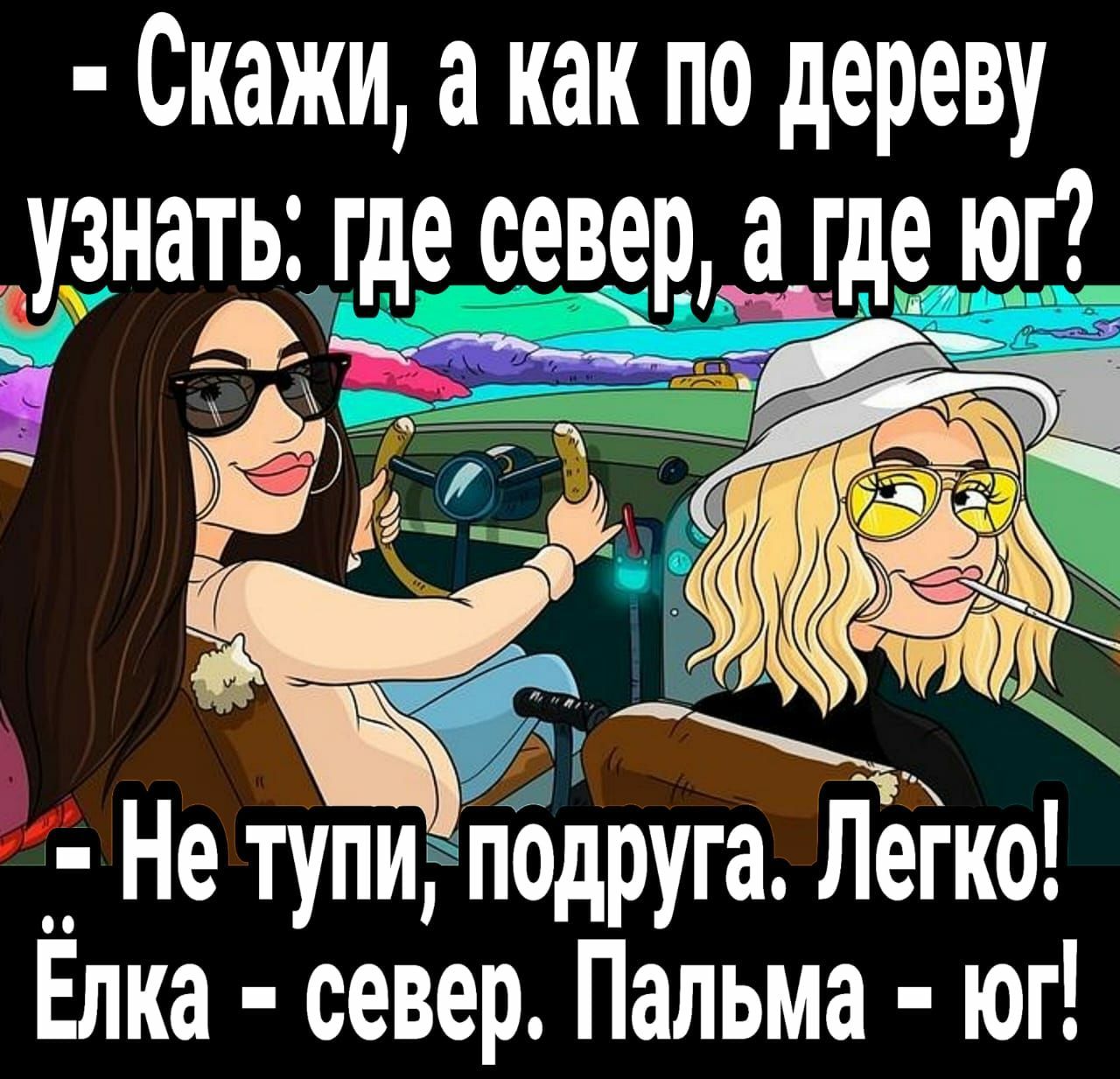 Скажи а как по дереву узнать где север а где у анЫ Не тупи пдіко Елка север Пальма ЮГ