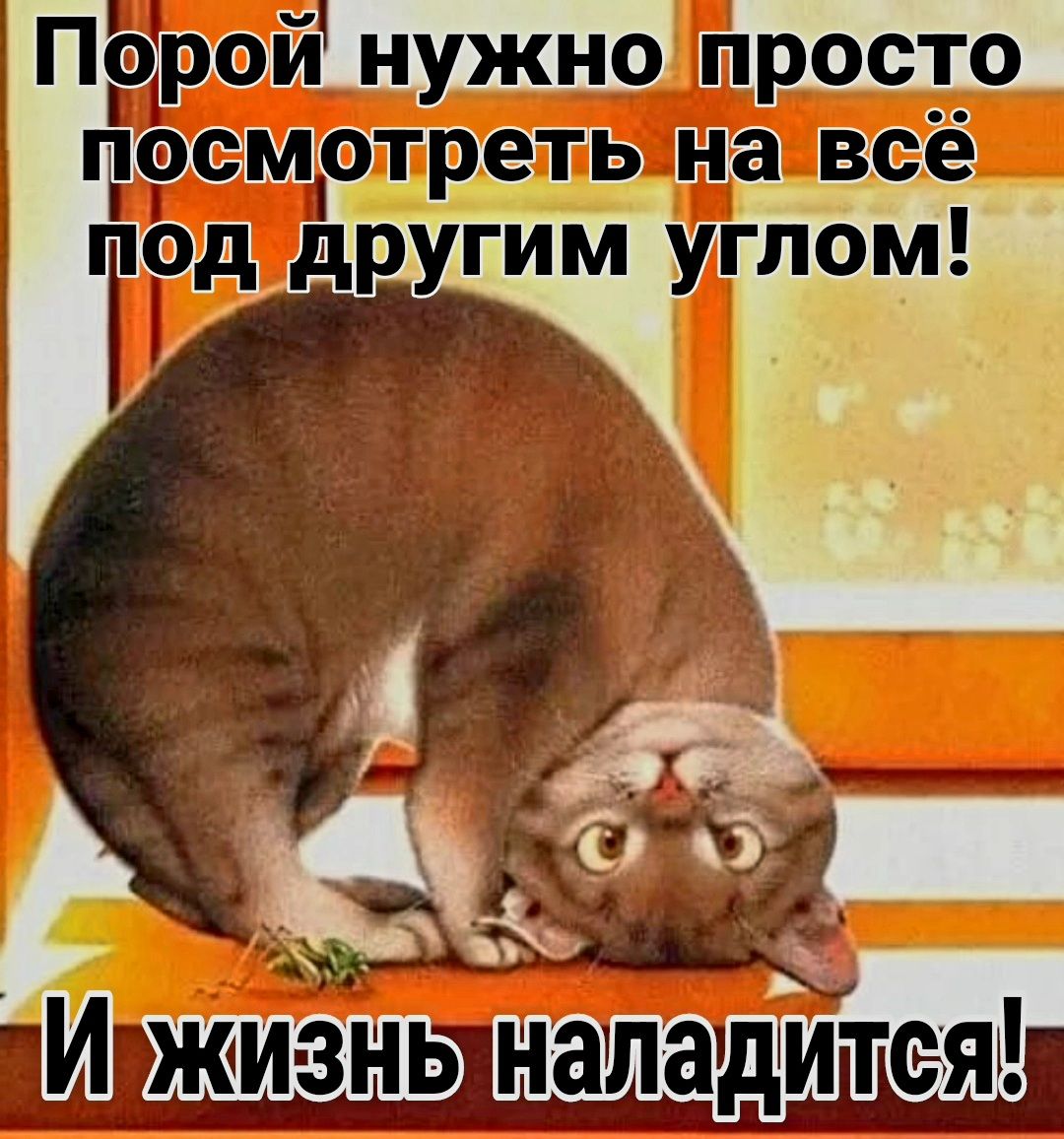 ЩЕШЬ наладитях