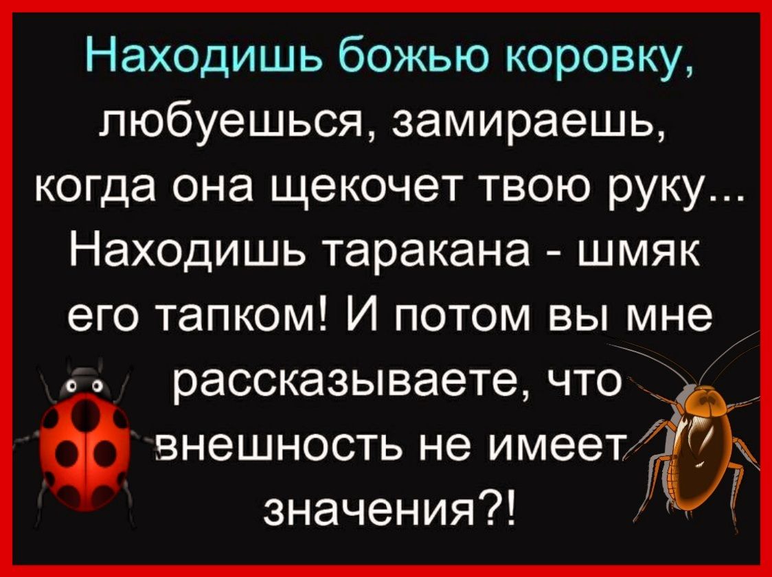 Находишь божью коровку любуешься замираешь когда она щекочет твою руку Находишь таракана шмяк его тапком И потом вы мне го рассказываете что знешность не имеет значения