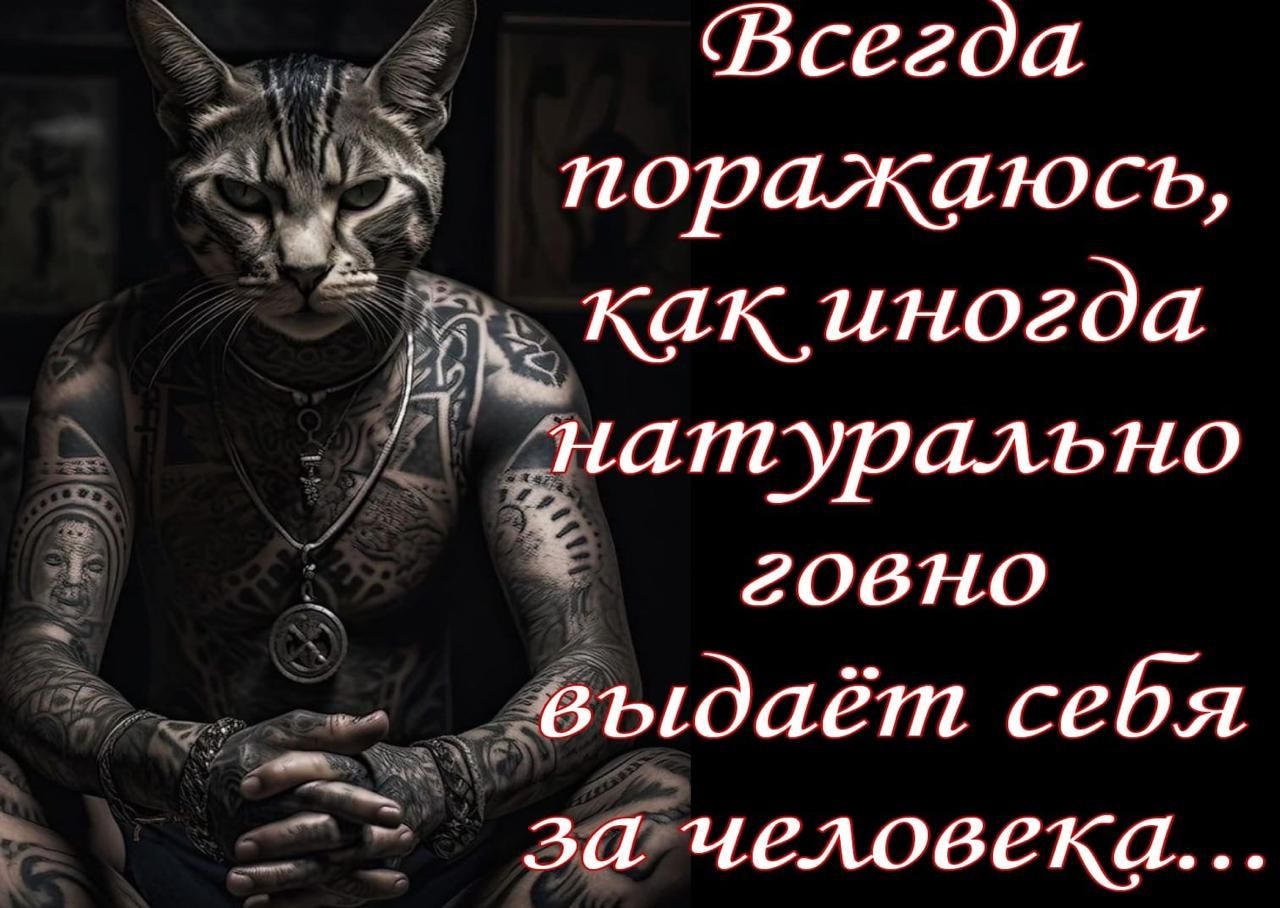 и ФВсегда М б поражатюсь какиногда 2 _ гнатурально говно Эо выдаёт себя зачеловека