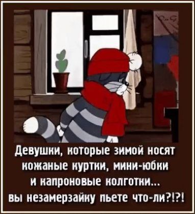 Девушки которые зимой носят ножаные нуртни мини юбки и капроновые колготни вы незамерзайку пьете что ли