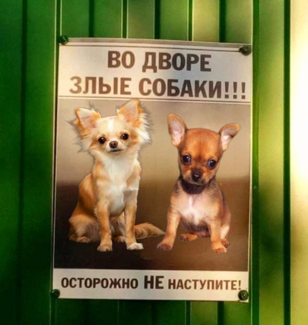 ВО ДВОРЕ ЗЛЫЕ СОБАКИ ОСТОРОЖНО НЕ НАсТУПИТЕ