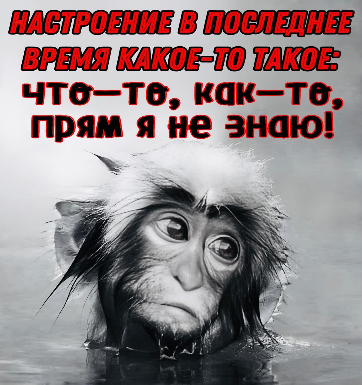 НАСЛВОЕНИ ВВИОСЛЕДНЕВ В ЕРМЯТОКО Е ПОВАКОЕЗ что те какте прям я не знаю