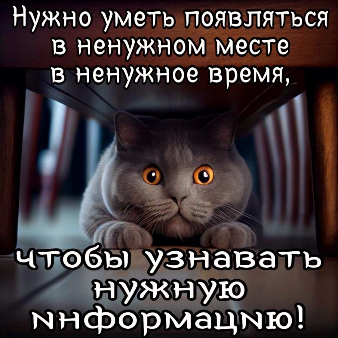 Нужно уметы появляться в ненужном месте в ненужное время ччобыьузнавать Инужжную мнформеацмю