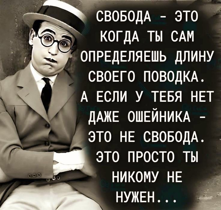 тъ СВОБОДА ЭТО ОМО КОГДА ТЫ САМ ОПРЕДЕЛЯЕШЬ ДЛИНУ СВОЕГО ПОВОДКА А ЕСЛИ У ТЕБЯ НЕТ 4и ДАЖЕ ОШЕЙНИКА ЭТО НЕ СВОБОДА ГЧ Ээто ПРОСТО ТЫ рн 5 НИКОМУ НЕ НУЖЕН і