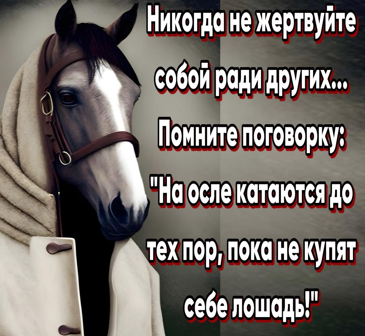 о Никогда не жертвуйте т ы АНЕ себе лошодь