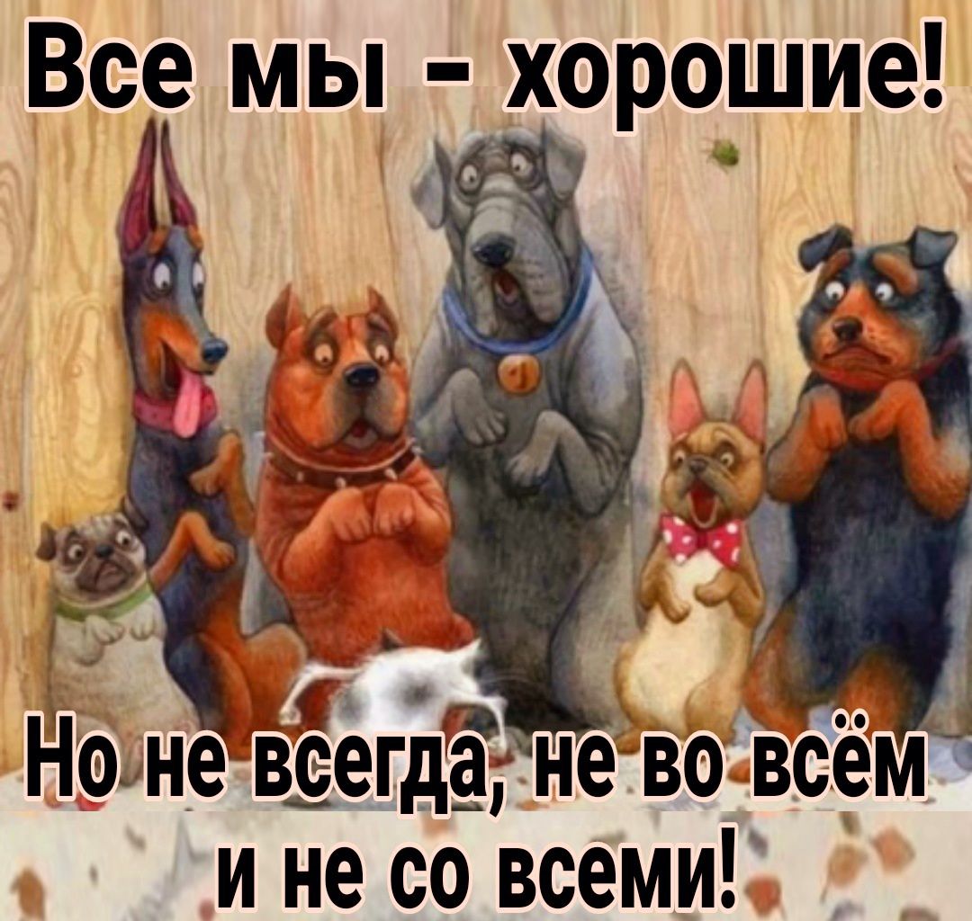 Все мы хорошие ППТ