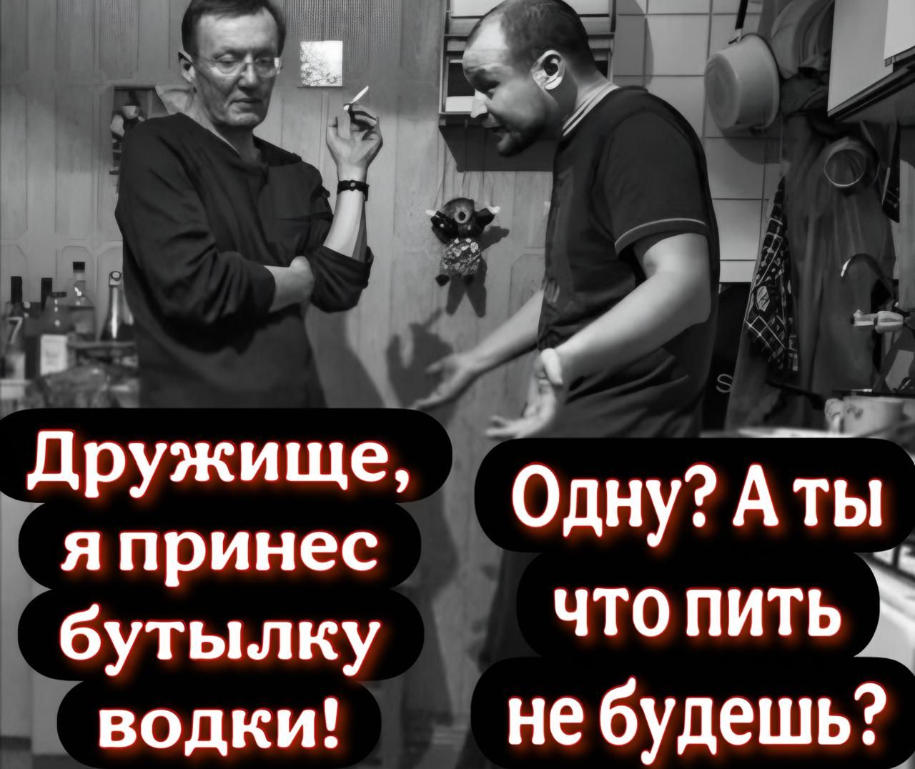 Дружище япринес бутылку водки Одну А ты чтопить небудешь