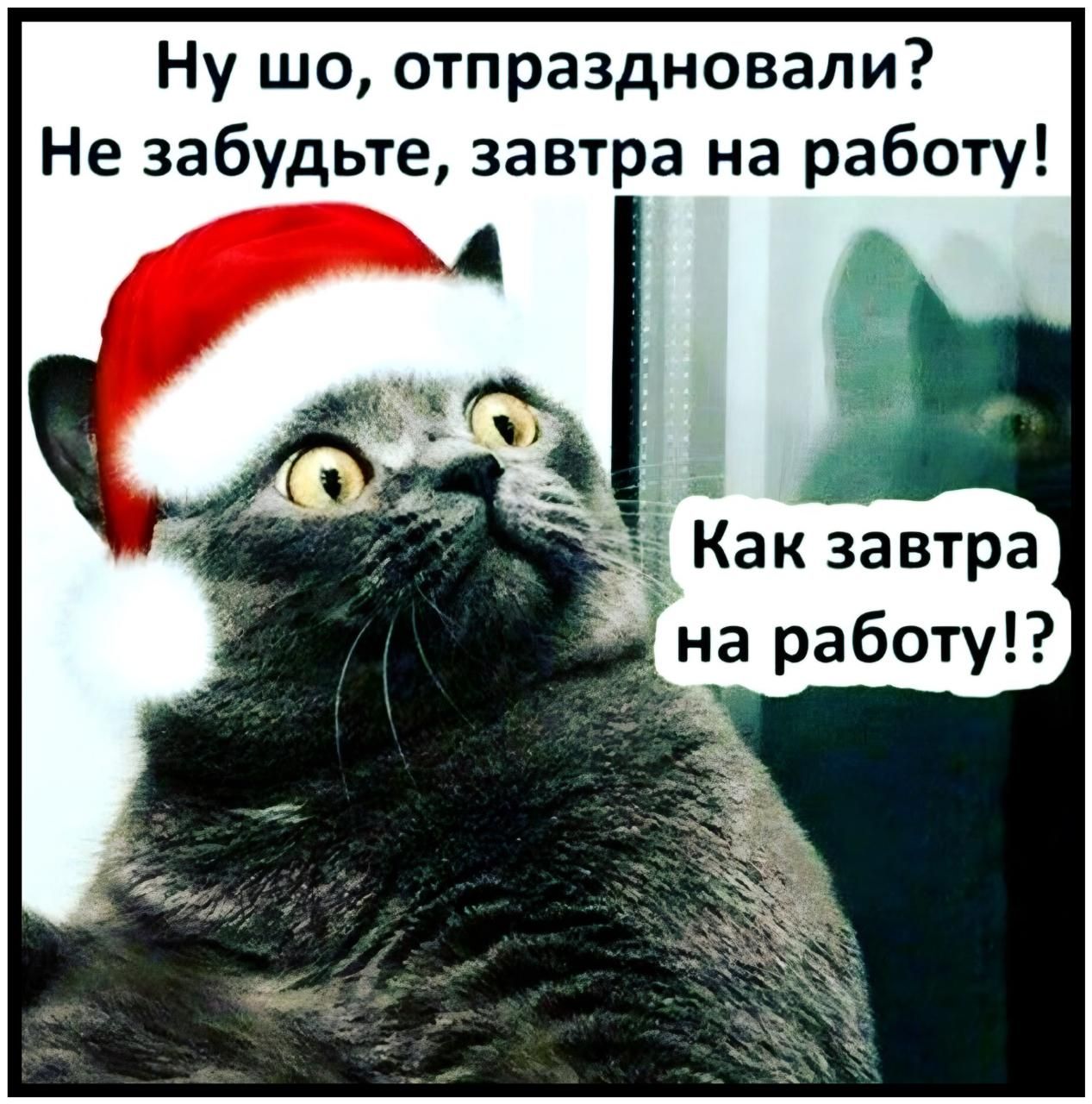 Ну шо отпраздновали Не забудьте завтра на работу Как завтра ана работу
