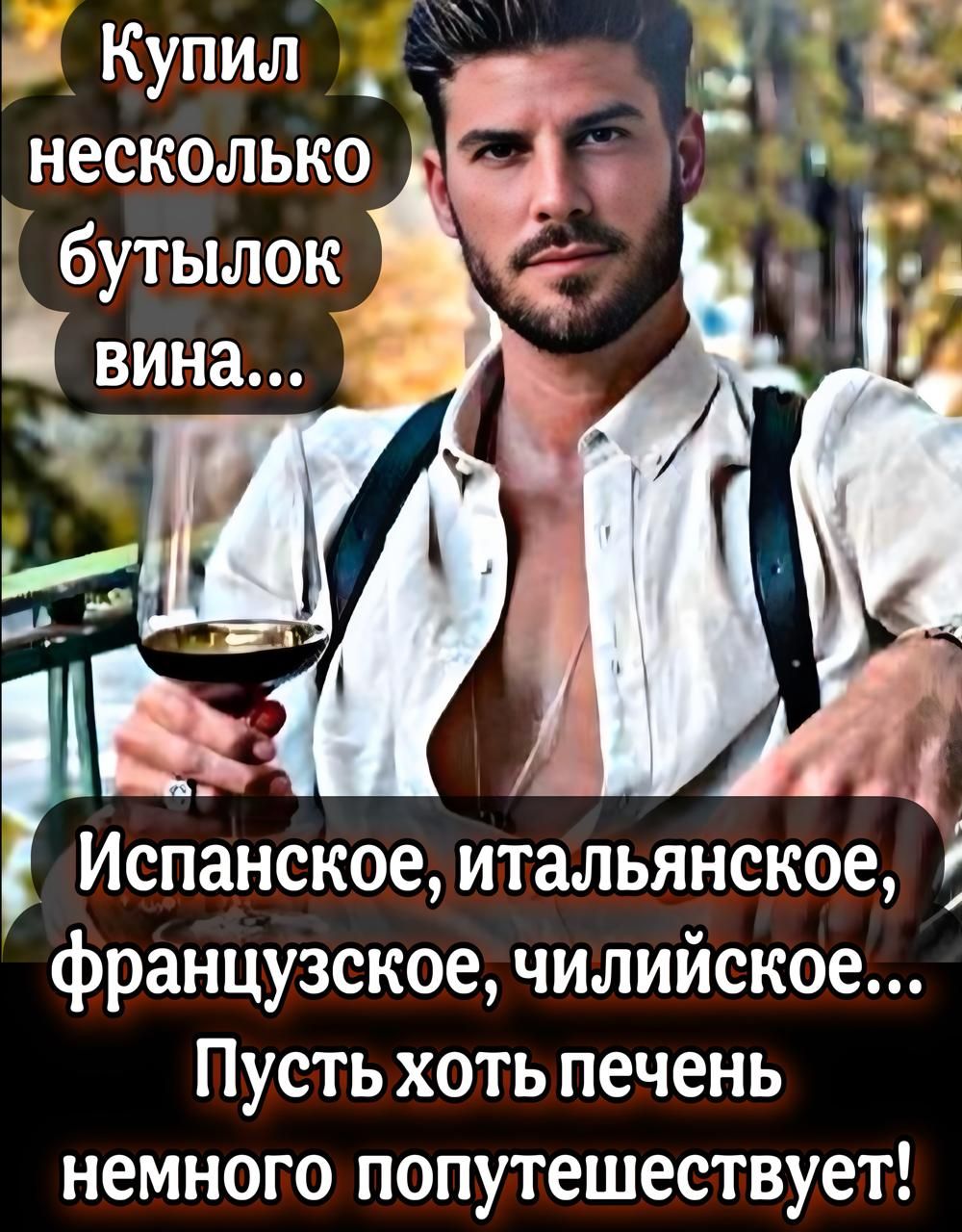 Й Купил Ё 4 несколько й бутылок Испанское итальянское французское чилийское Пусть хотьпечень немного попутешествует