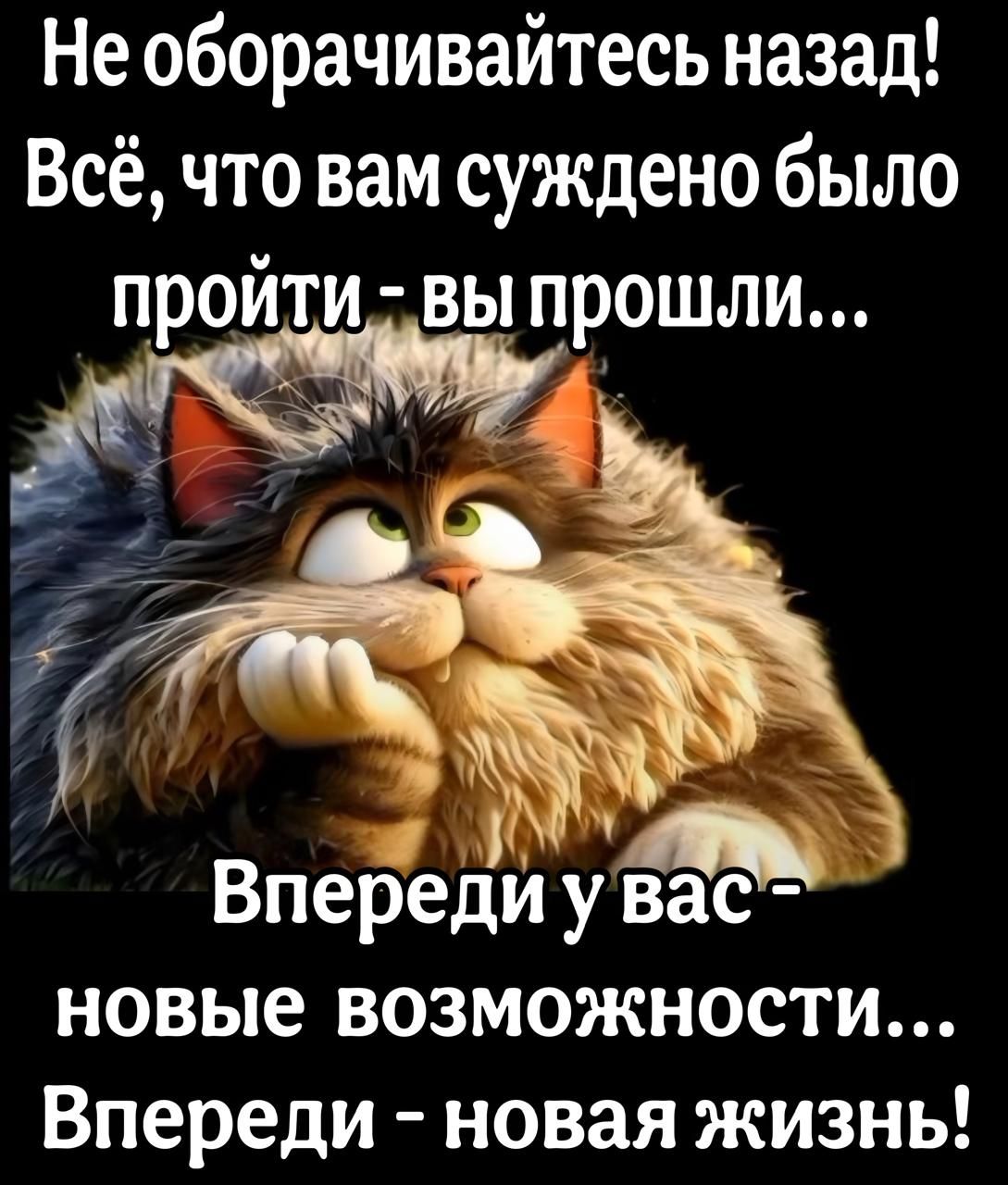 Не оборачивайтесь назад Всё что вам суждено было пройти вы прошли ж 14 Впереди у вас7 новые возможности Впереди новая жизнь