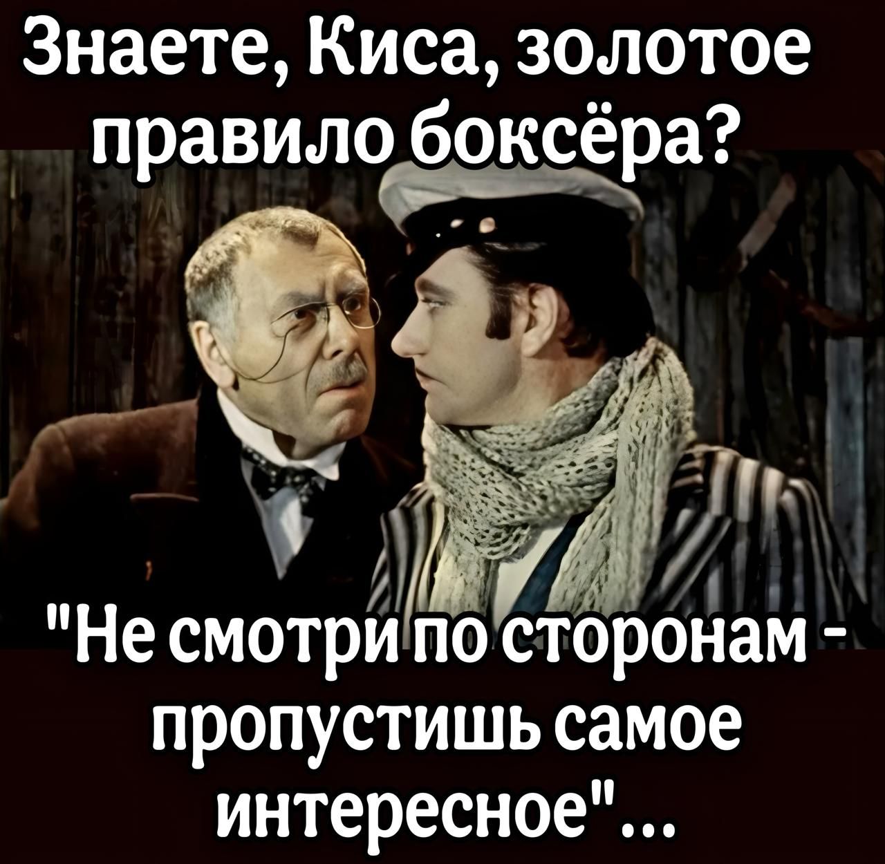 Знаете Киса золотое боксёра правило о кс_ара Несмотрипо сторонам о пропустишь самое интересное