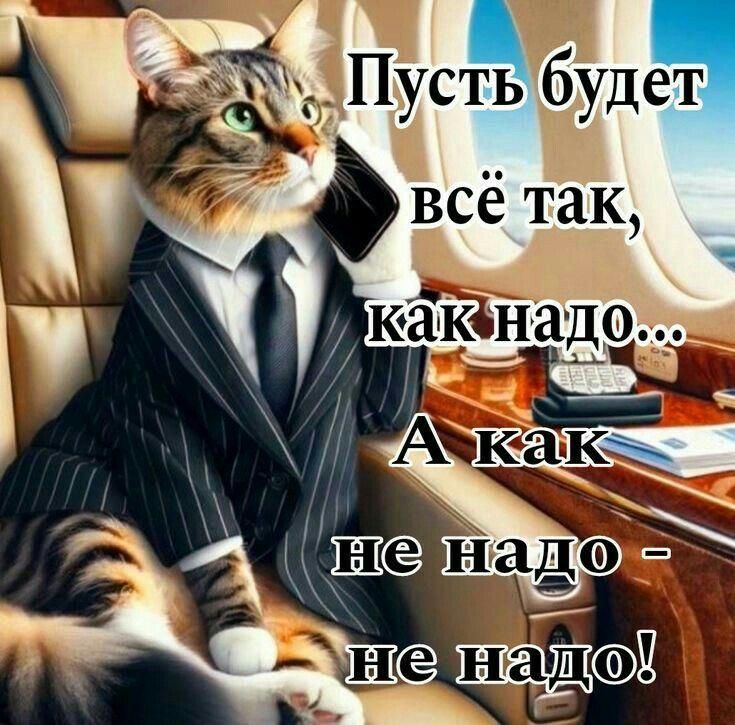 Ы Ш надв Е 31 НО