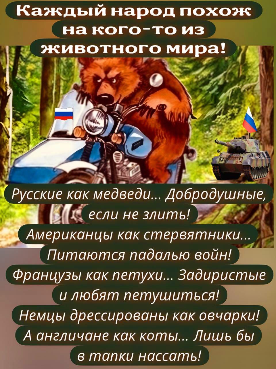 Каждый народ похож на кого то из у животного мира Т ю чч Русские как медведи Добродушнье если не злиты Т Американцы как стервятники Питаются падалью войн Французы как петухи Задиристые и любят петушиться Немцы дрессированы как овчарки А англичане как коты Лишь бы в тапки нассать