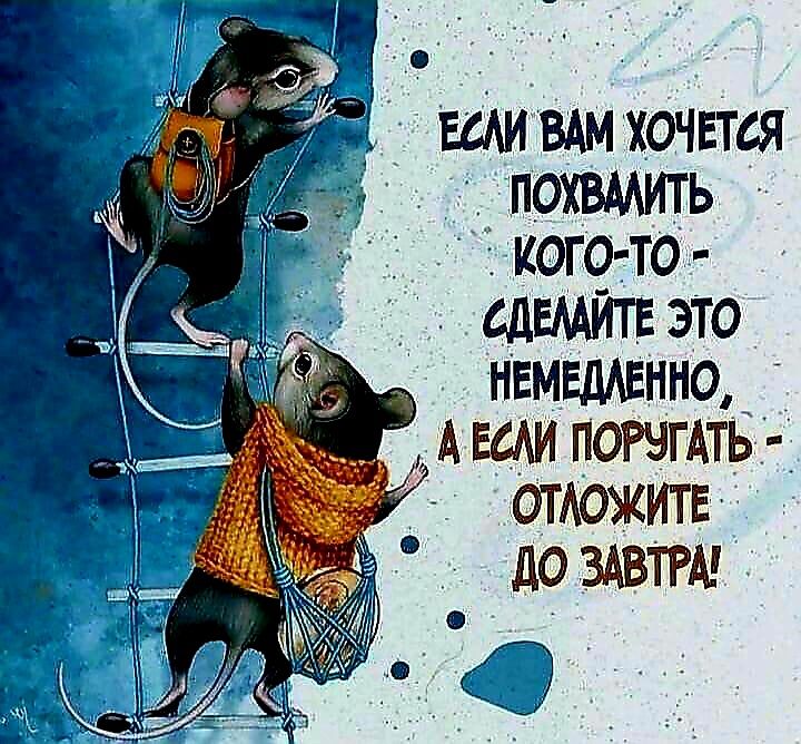 ЕСЛИ ВАМ ХОЧЕТСЯ ПОХВМИТЬ кого то СДЕМИТЕ ЭТО НЕМЕДЛЕННО АЕСЛИ ПОРУГАТЬ ОТКОЖИТЕ ДО ЗАВТРМ