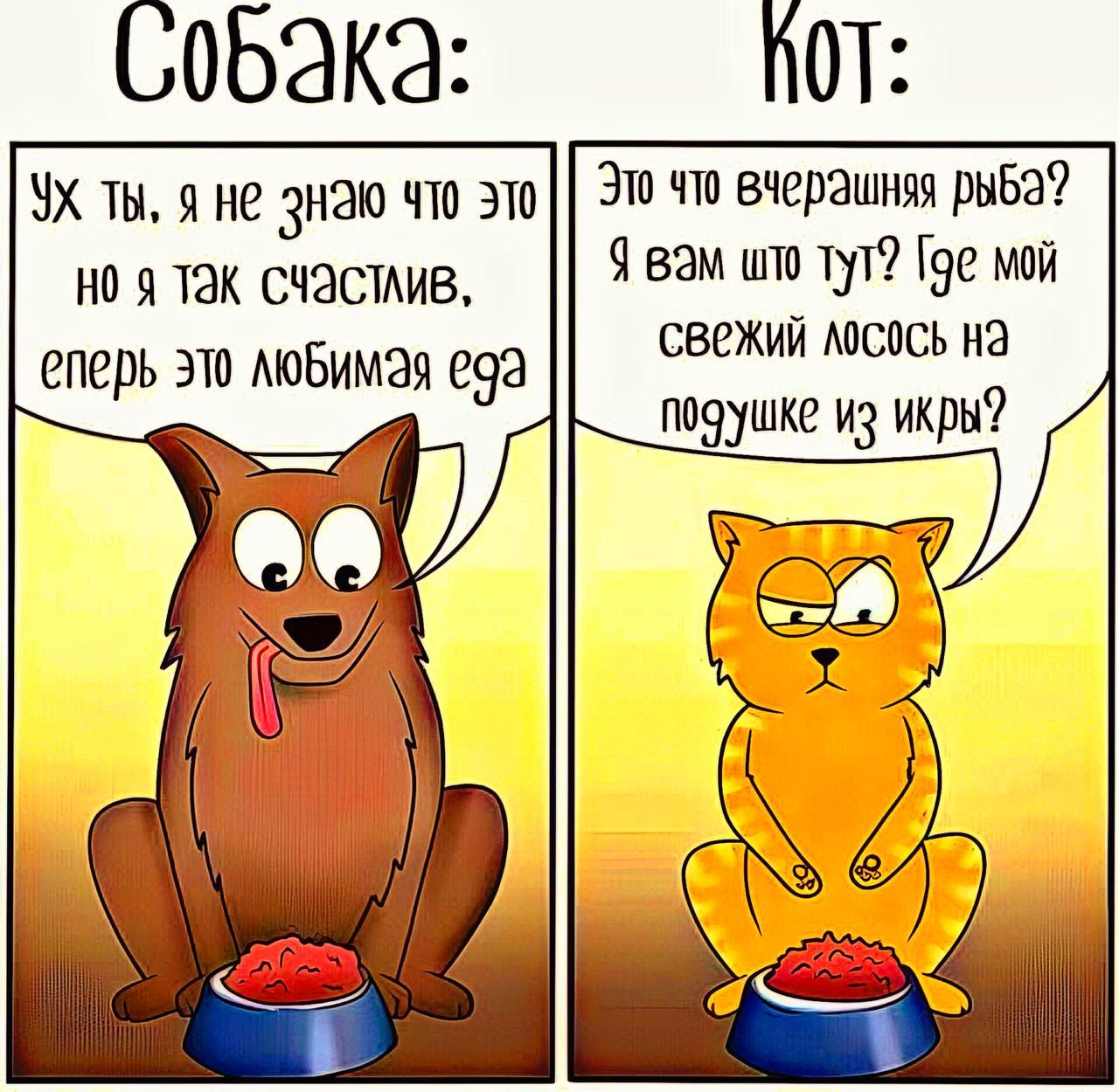 обака ПОТ УХ ты яне знаю что это Эт что вчерашняя рыба но я так счастлив 4 вм што тут 19е мой свежий лосось на еперь это любимая еда па з ир