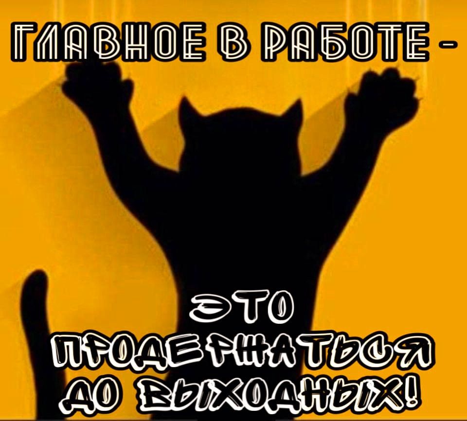 ТАН ВНО ЕВР6 ОЕ 170 ПУХО ЕНЕ НГ ЕР КОНЕ