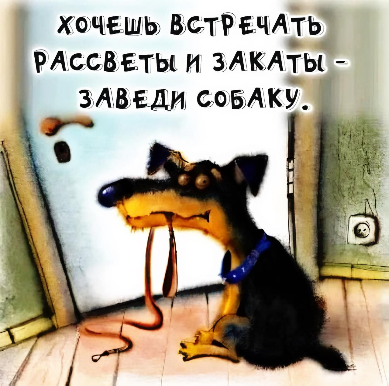 ХОЧЕШЬ ВСТРЕЧАЬ РАССВЕТЫ И ЗАКАТЬ ЗАВЕДИ СОБАКУ
