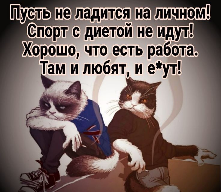 Пустьнеладитсянал Спортс диетой не идут Хорошо что есть работа Там и любят и еут