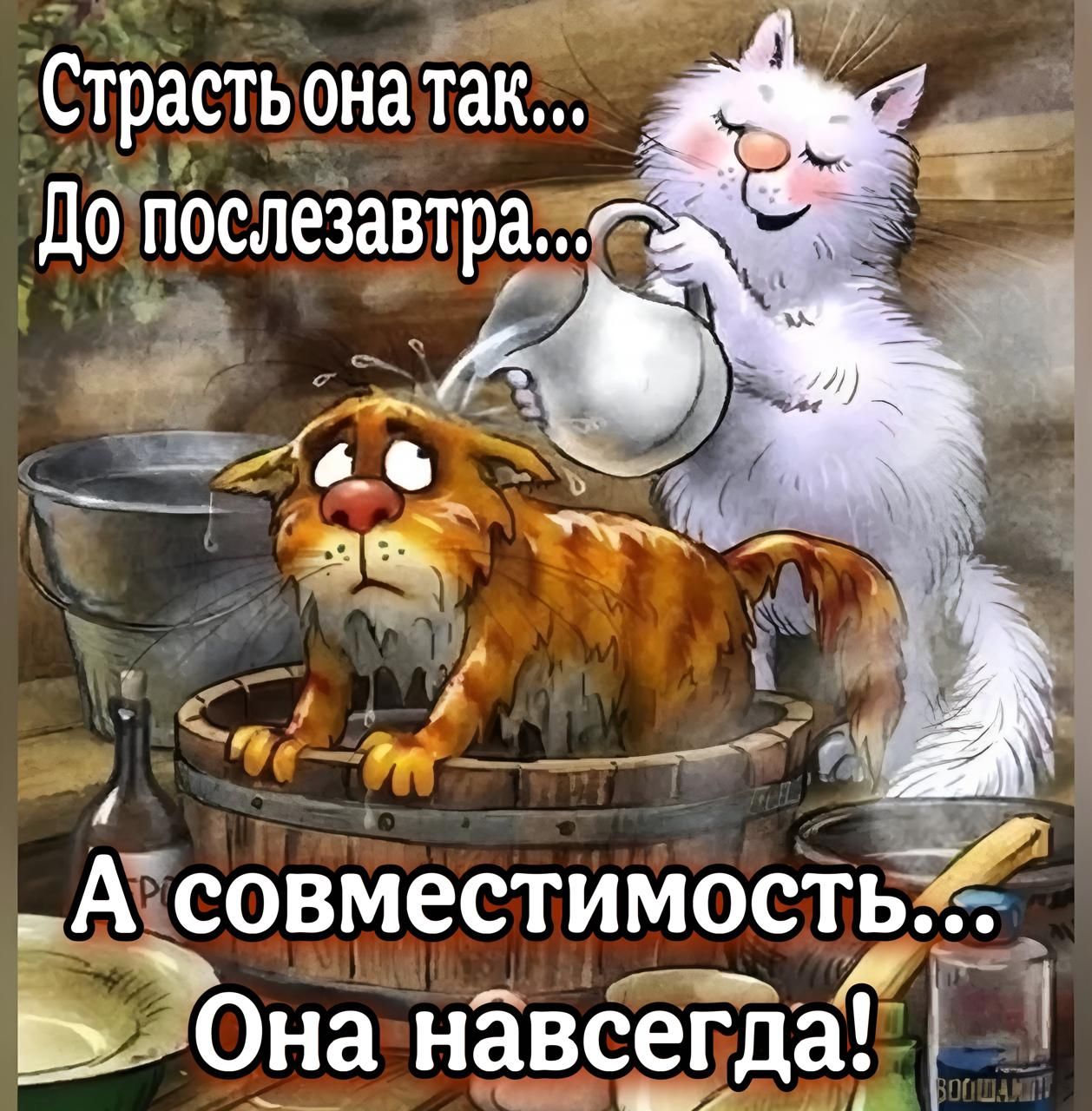 Страсть онатТак До п0слезавтра КЁ 71 й Ахсовместимость Ву7Она навсегда