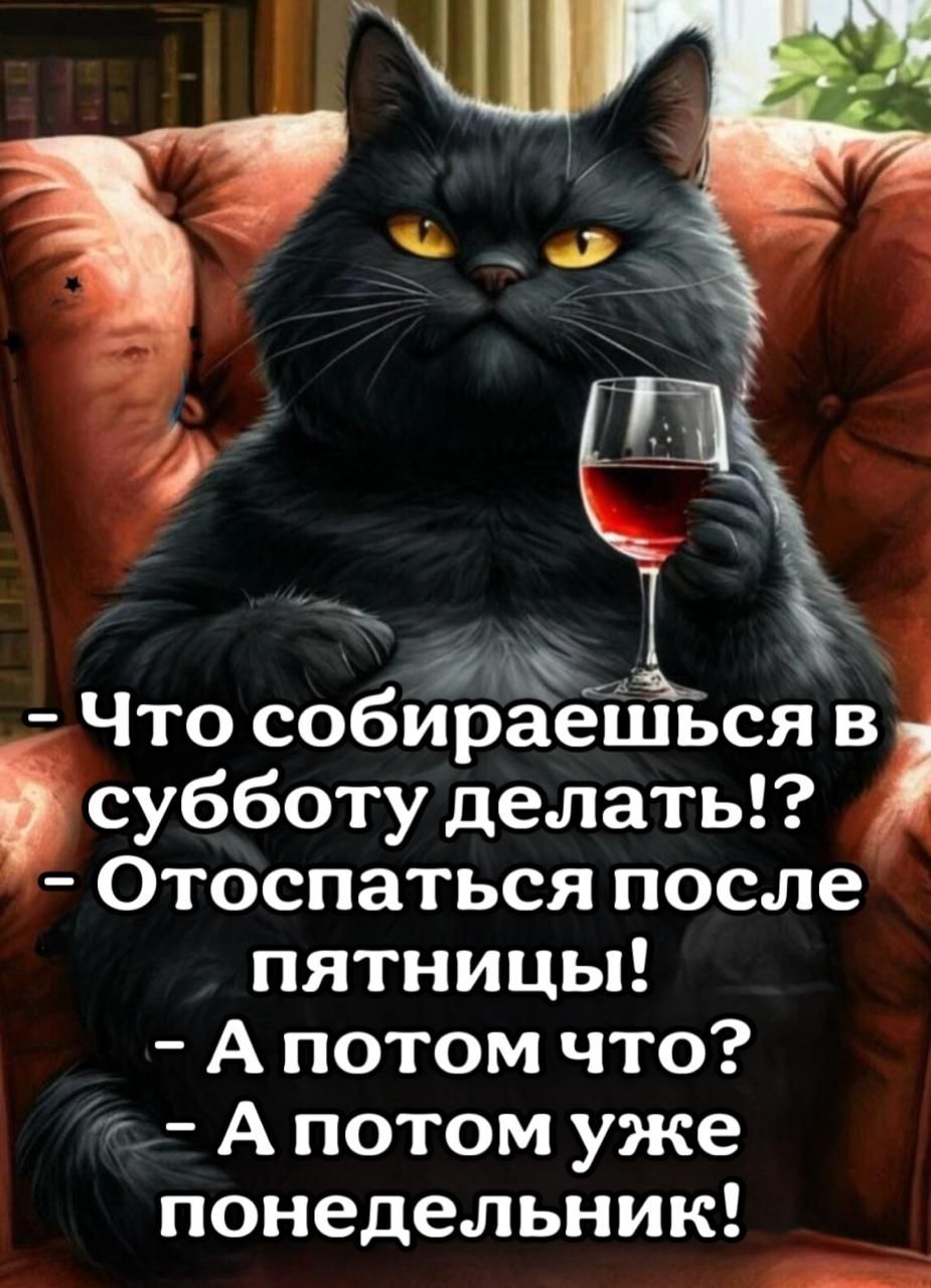 Что собирЁешься в субботу делать иа Фукоте 1 Чу то В н Геей пятницы Апотом что Апотом уже понедельник рнч