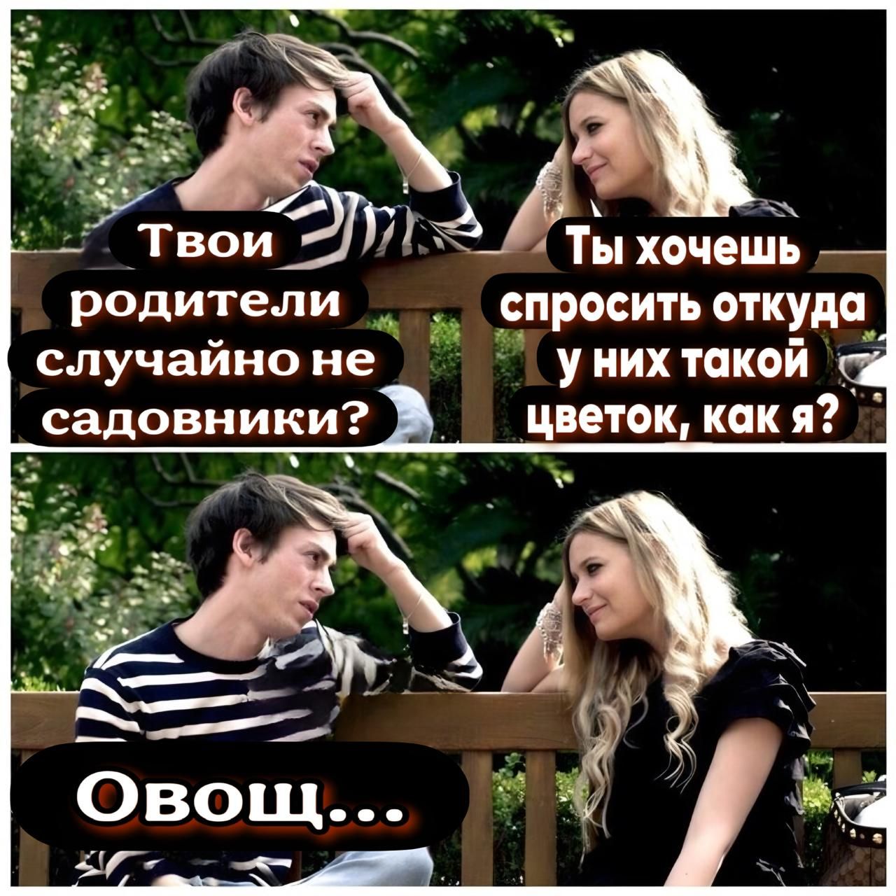 Ты хочешь родители спросить откуда случайно не у них такой садовники цветок как я