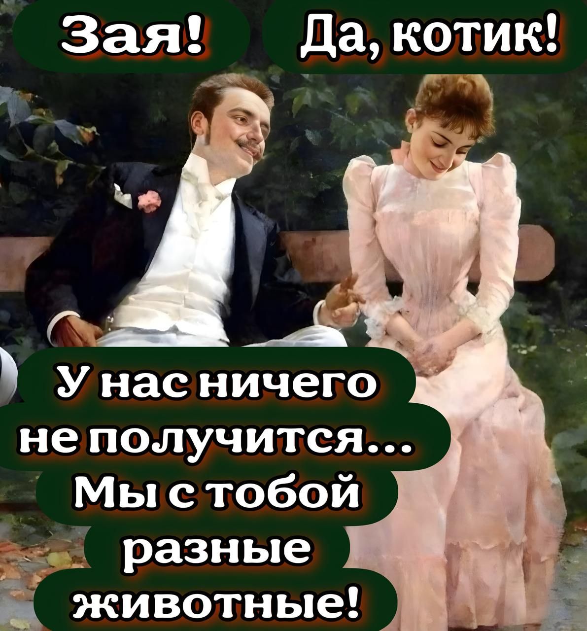 Зая Да котик ае Унасничего разные животные
