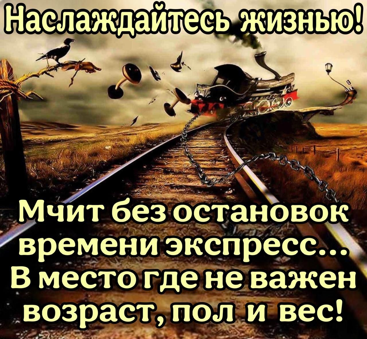 Мчйт без остановок времени экспресс В местотденеважен возраступоливес