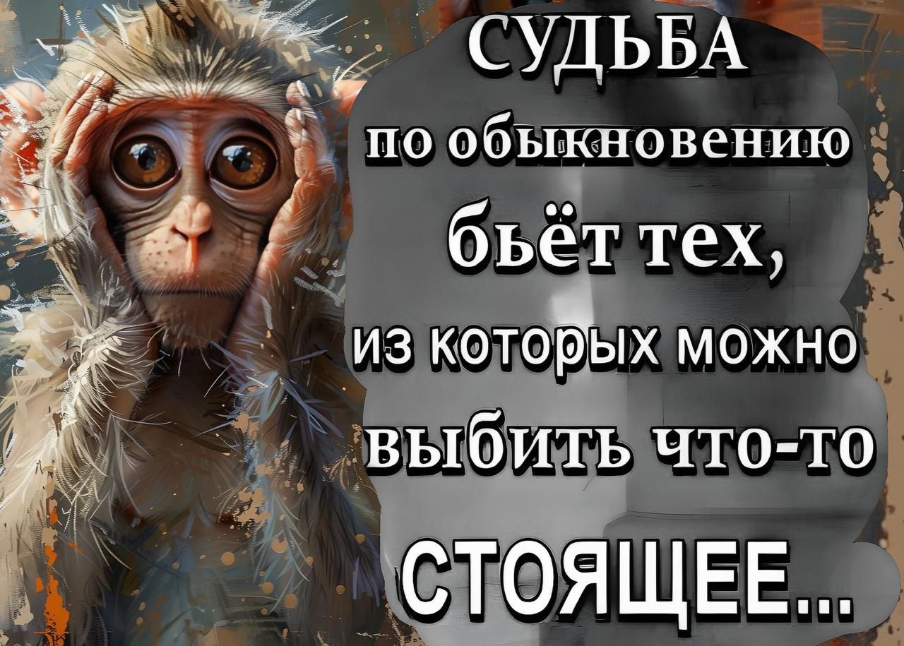 СУДЬБА по обыкновению бьёжт тех у ИЗКоТОрЫх МОЖНО