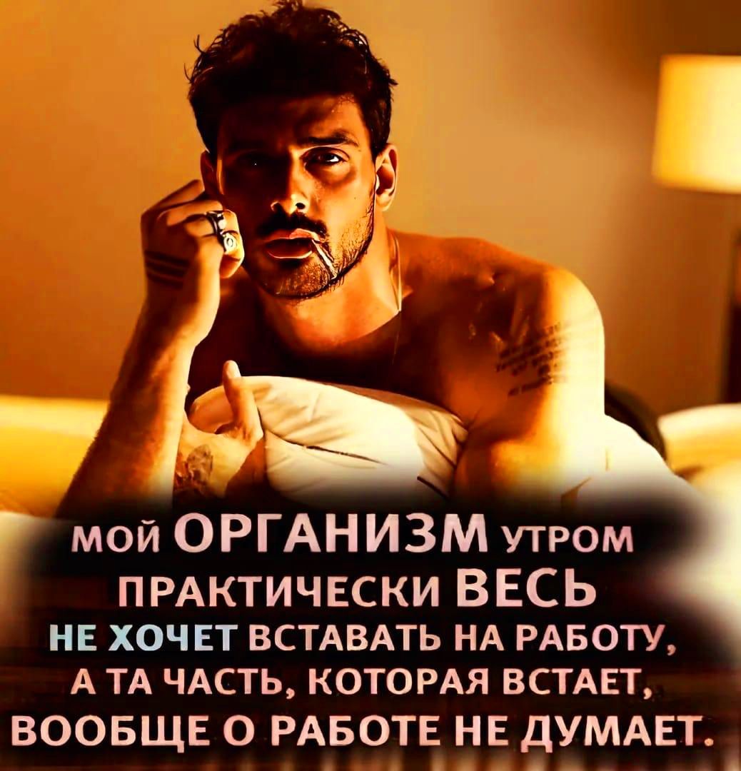 ч ра Ю мой ОРГАНИЗМ утРом ПРАКТИЧЕСКИ ВЕСЬ НЕ ХОЧЕТ ВСТАВАТЬ НА РАБОТУ А ТА ЧАСТЬ КОТОРАЯ ВСТАЕТ ВООБЩЕ О РАБОТЕ НЕ ДУМАЕТ